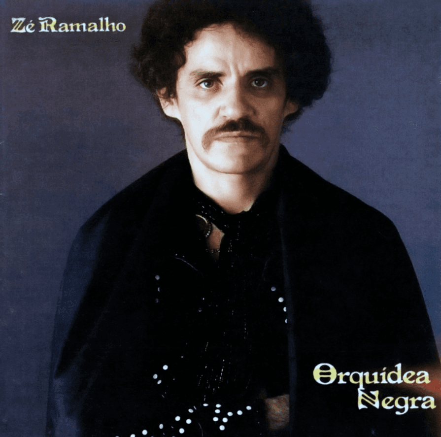 Orquídea Negra